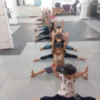 باشگاه ورزشی کاراته ،ژیمناستیک