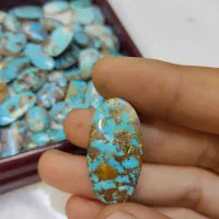 فیروه نیشابوری اصل