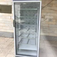 دستگاه جوجه کشی Dq 200 sh  بلدرچین دماوند