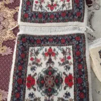 پشتی بیجار،طرح بیجار و طرح اسب