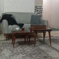 داوطلبانه