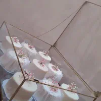 انواع کیک تولد و نامزدی و کافی شاپی و حلوا ها