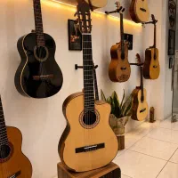 گیتار پیکاپدار اقساط بدون پیش پرداخت و سود