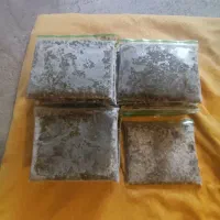 قرمه سبزی