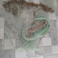 تورماهیگیری