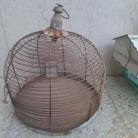 قفس پرنده