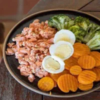 غذای پت(خانگی)