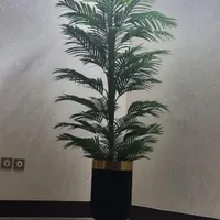 گل مدل فنیکس