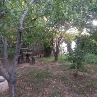 معاوضه ۱۱۱ وباغ با اپارتمان