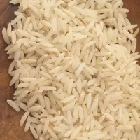 برنج هاشمی مستقیم از مازندران