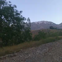 فروش زمین
