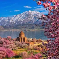 تور گروهی وان همه روزه اقساطی