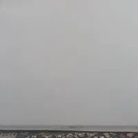 وایت برد در حد نو