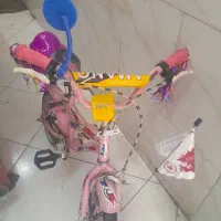 سایز ۱۲ کاملا سالم