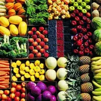 پخش میوه و تره‌بار رستورانی بدون هزینه‌ی ارسال