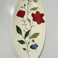 دیس بیضی