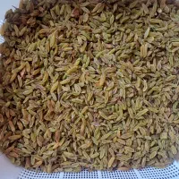 کشمش سبز قلمی