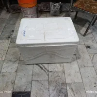 فیبر