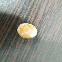 سنگ اصل بابا قوری