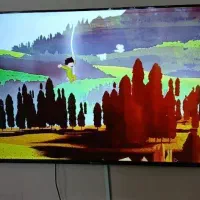 تلویزیون