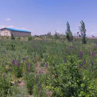 شام-اسبی-یک-هکتار-زمین-با-کاربری-صنعتی