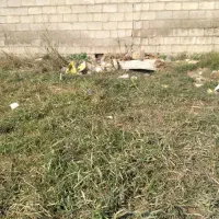 کارگاه نیمه آماده