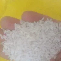 فروش برنج هاشمی وسرلاشه