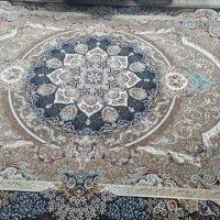 یک جفت ۹متری ۱۰۰۰شانه طرح مانااستثنایی