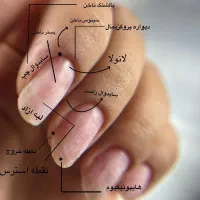 آموزش تخصصی ناخن