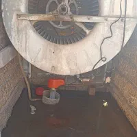 برقکاری برق کاری و سرویس کولر تعمیر کارتخصصی کولر