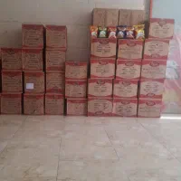 بازاریاب موادغذایی