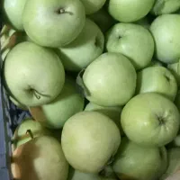 سیب،گلاب
