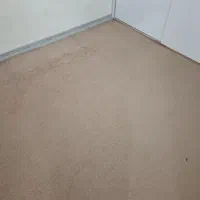 موکت پالاز