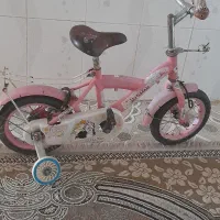 دوچرخه سالم وسرحال