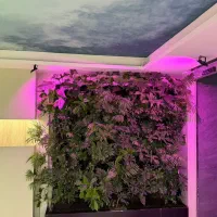 گرین وال طبیعی گرینوال طبیعی تخفیف ۴۰٪ تا اخر تیر