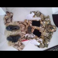 لباس سربازی