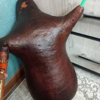 نی انبان