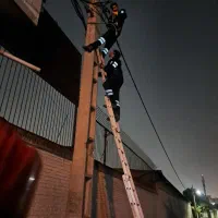 برقکار