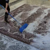 قالیشویی وحدت