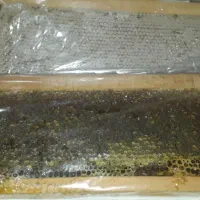 عسل طبیعی بهاره کاملا خاصیت درمانی