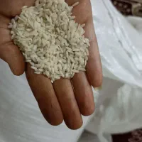 برنج چمپا درجه یک تازه آسیاب شده