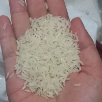 برنج خوش عطر شمال