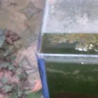 اکواریم|ماهی|رشت, دیانتی|دیوار