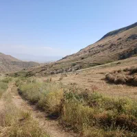 یونجه|عمده‌فروشی|اهر, |دیوار