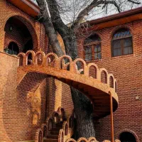 زمین-تجاری-بر-خیابان-روحانی