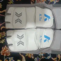 روپا الکترونیکی تکواندو