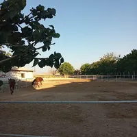 باشگاه سوارکاری لوئیزهورس