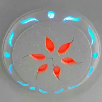 بنایی گچ کاری بازسازی کامل