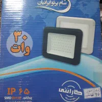 پروژکتور30وات.ریسه شلنگی ضدآب انبه ای