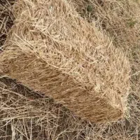 پرس گندم